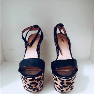 Wild Pair Chunky Heels